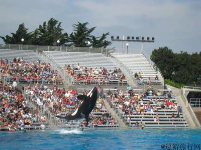 【大连亲子游】金石滩赶海+老虎滩全馆通玩 | 一价全含0购物