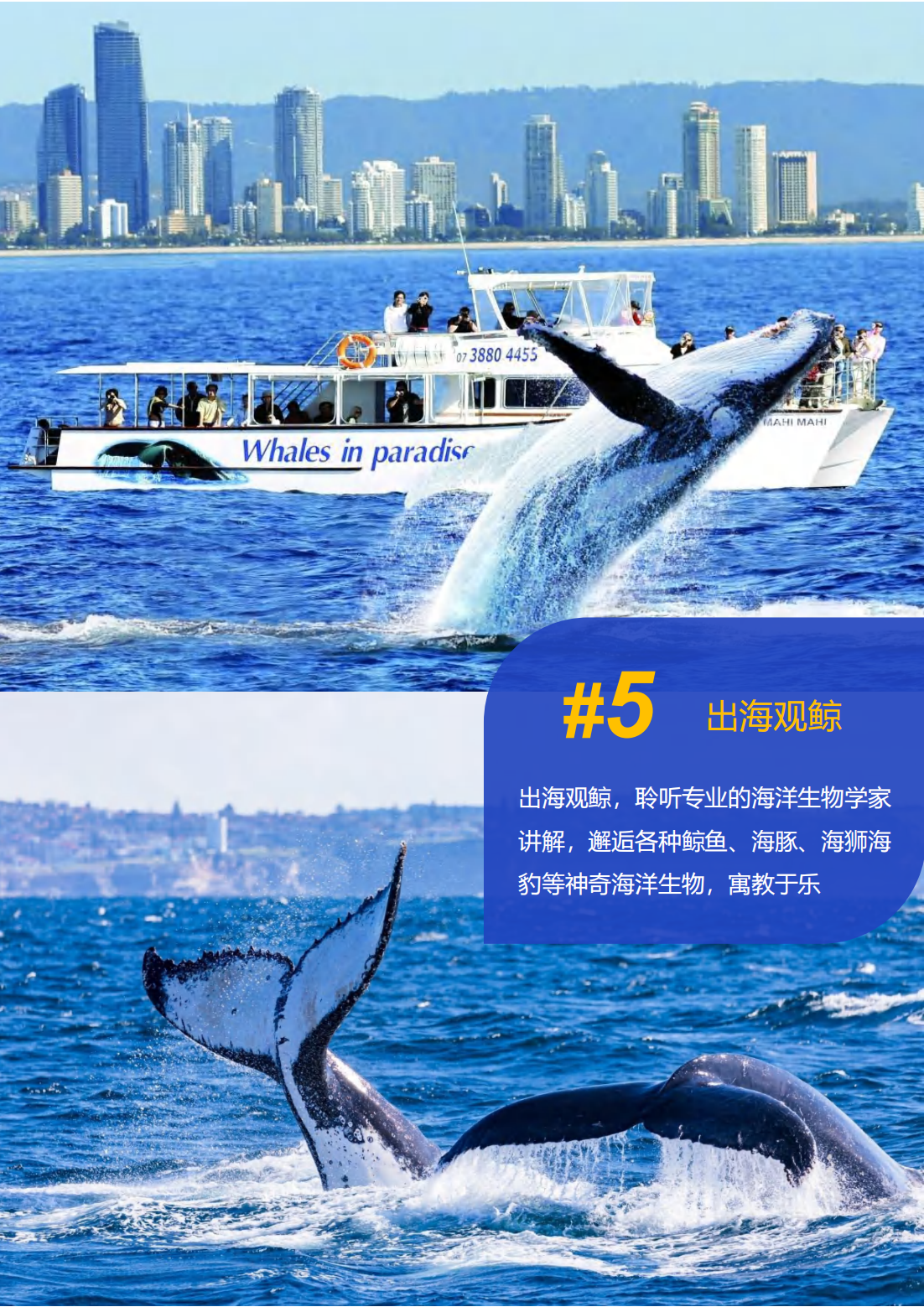 （已压缩）2025暑假 美国私立中学全真插班&名校参访15日多元文化微留学-0226_12.png