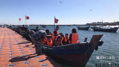 大连金石滩纯玩一日游|渔船喂海鸥+十里黄金海岸+盛唐岚山|真纯玩零购物